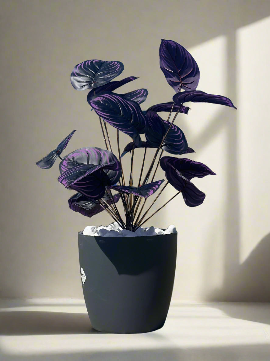 Plantă artificială violetă, 75 cm – cu tulpină lungă și frunze mari, ideală pentru decor de lux, atât la interior, cât și la exterior, completată cu flori, ghiveci și pietriș decorativ.