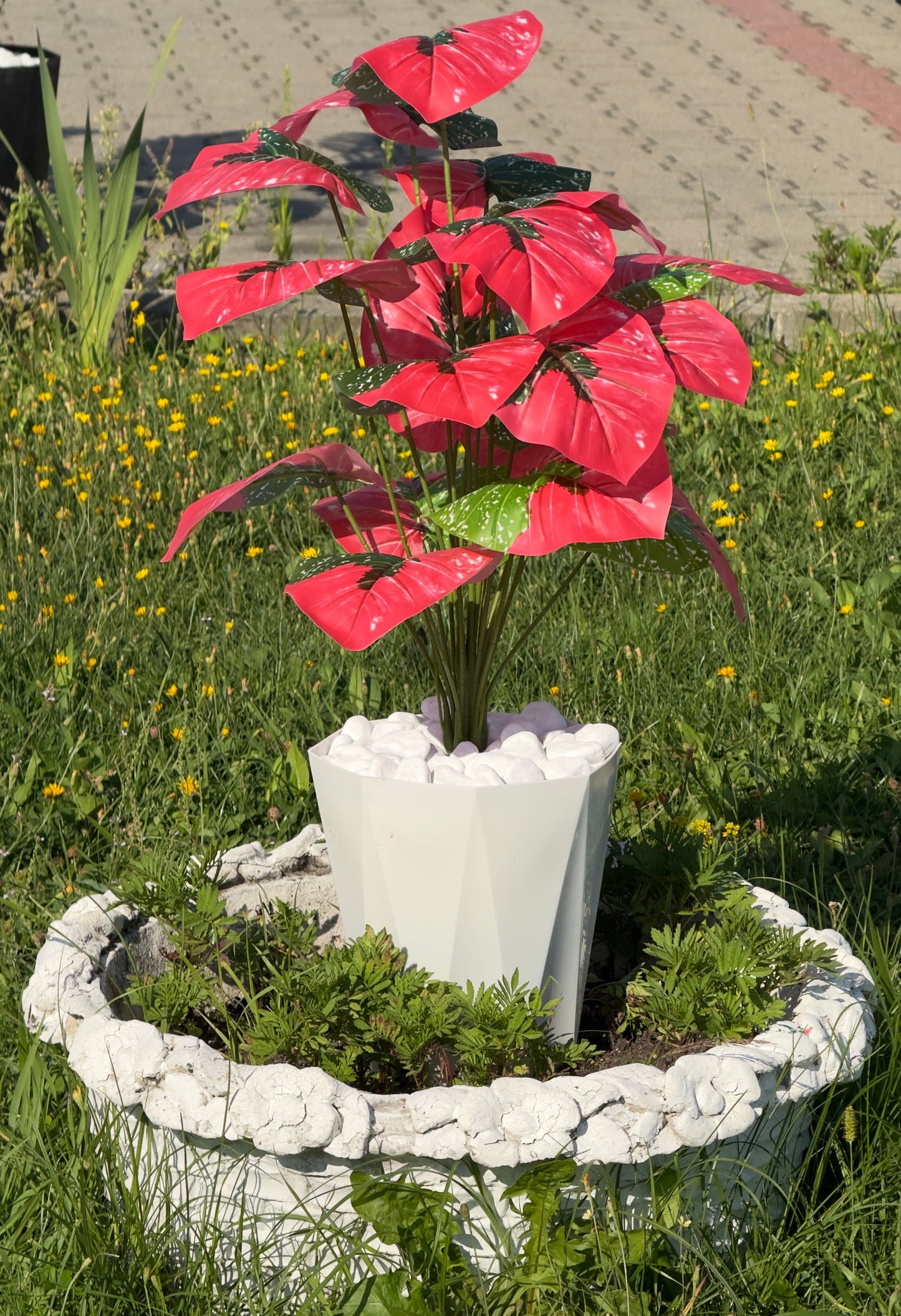 Combinație de plante artificiale cu frunze rosi si mari , prezentate într-un ghiveci modern cu pietriș