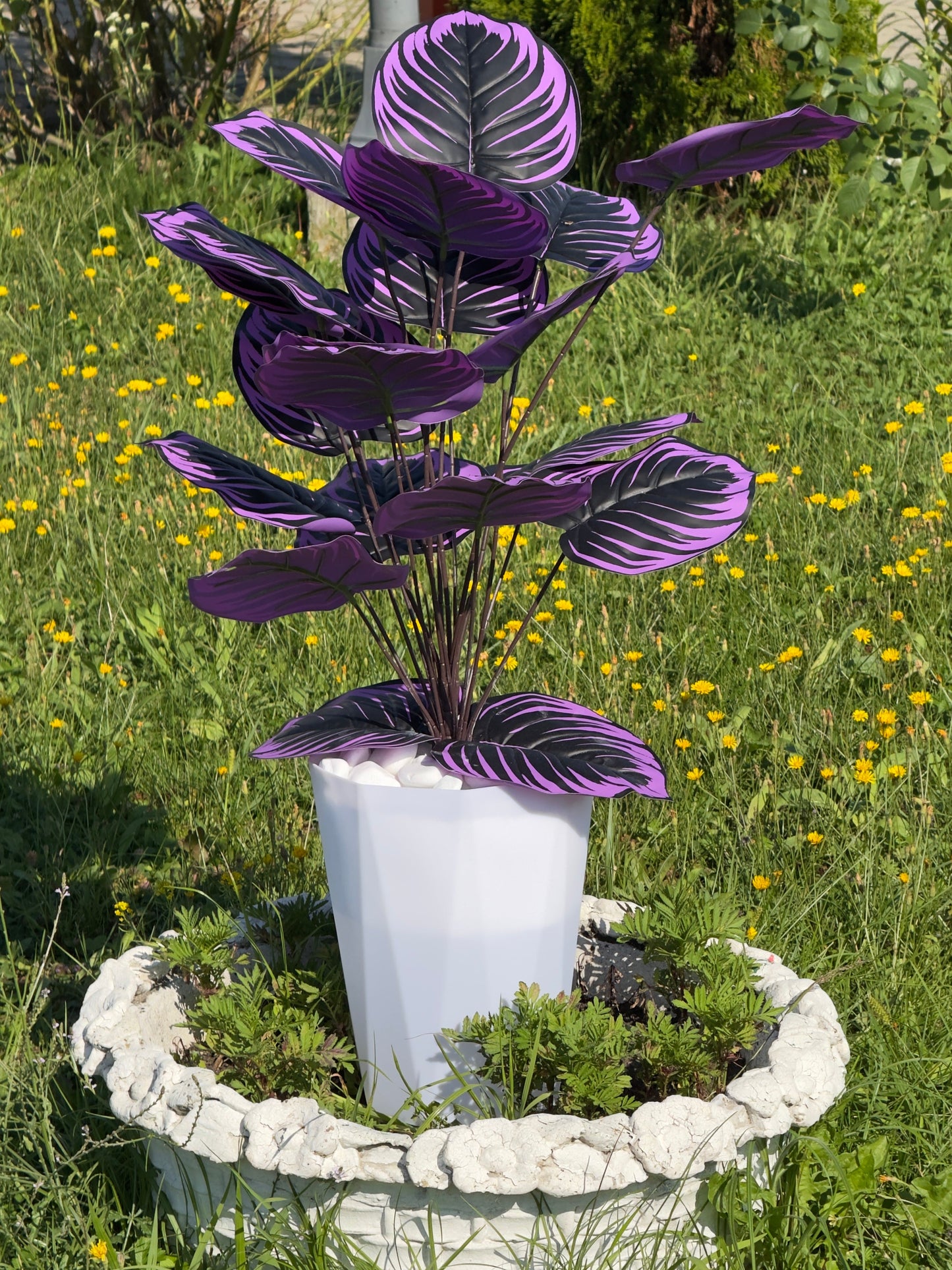 Combinație de plante artificiale cu frunze violet si mari , prezentate într-un ghiveci modern cu pietriș