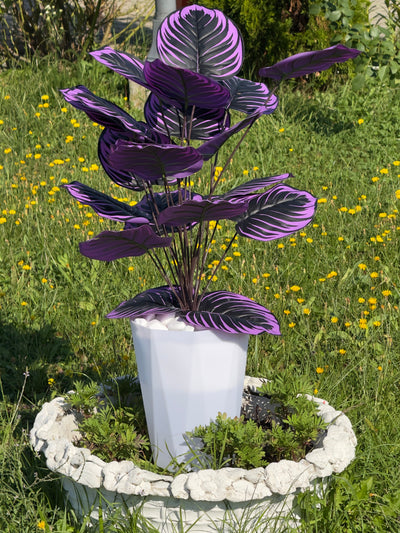 Combinație de plante artificiale cu frunze violet si mari , prezentate într-un ghiveci modern cu pietriș